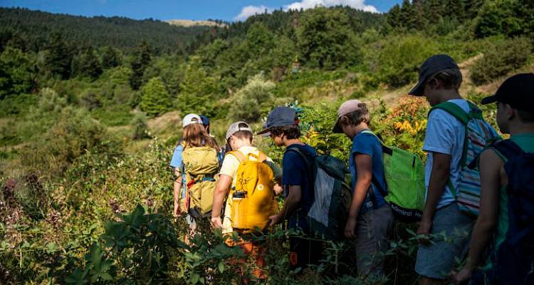 &Sigma;&chi;&omicron;&lambda;&iota;&kappa;έ&sigmaf; &epsilon;&kappa;&delta;&rho;&omicron;&mu;έ&sigmaf;: &Pi;&omicron;&iota;&omicron;&sigmaf; &alpha;&nu;&alpha;&lambda;&alpha;&mu;&beta;ά&nu;&epsilon;&iota; &tau;&eta;&nu; &epsilon;&upsilon;&theta;ύ&nu;&eta; &gamma;&iota;&alpha; &mu;&alpha;&theta;&eta;&tau;έ&sigmaf;, &lambda;&epsilon;&omega;&phi;&omicron;&rho;&epsilon;ί&alpha; &kappa;&alpha;&iota; &chi;ώ&rho;&omicron;&upsilon;&sigmaf; &epsilon;&pi;ί&sigma;&kappa;&epsilon;&psi;&eta;&sigmaf;, &tau;&iota; &alpha;&lambda;&lambda;ά&zeta;&epsilon;&iota;