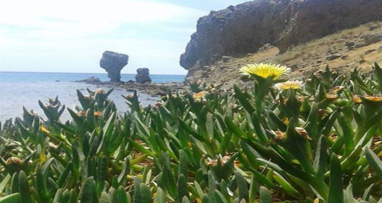 Βελτιώνεται από το μεσημέρι ο καιρός στη Λήμνο | Σταθεροί παραμένουν οι δυνατοί άνεμοι (mp3)