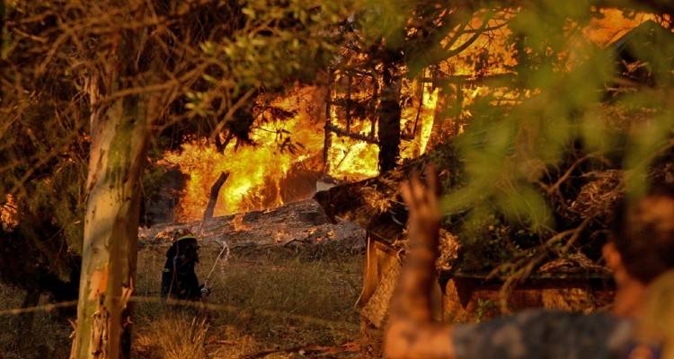 Φωτιά στην Αχαΐα: 20 καμένα σπίτια, ένας τραυματίας με εγκαύματα | Συνεχίζεται η μάχη με τις φλόγες