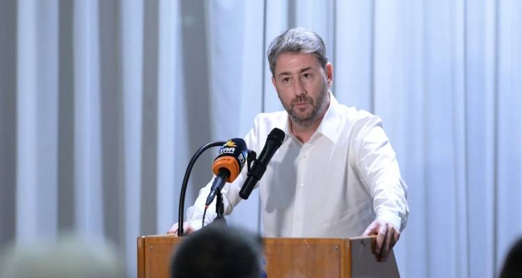 Ανδρουλάκης: Ανοιχτός να επιστρέψουν άνθρωποι που έφυγαν από το ΠΑΣΟΚ -Οχι οι σεσημασμένοι που αλλάζουν κόμματα σαν πουκάμισα