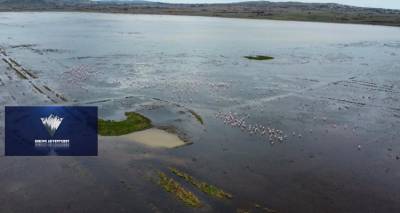 Hiking Adventures: &Epsilon;&xi;&epsilon;&rho;&epsilon;ύ&nu;&eta;&sigma;&eta; &sigma;&tau;&eta; &Chi;&omicron;&rho;&tau;&alpha;&rho;ό&lambda;&iota;&mu;&nu;&eta; &Lambda;ή&mu;&nu;&omicron;&upsilon; | Έ&nu;&alpha; &kappa;&alpha;&tau;&alpha;&phi;ύ&gamma;&iota;&omicron; ά&gamma;&rho;&iota;&alpha;&sigmaf; &kappa;&alpha;&iota; &sigma;&pi;ά&nu;&iota;&alpha;&sigmaf; &zeta;&omega;ή&sigmaf; (video)