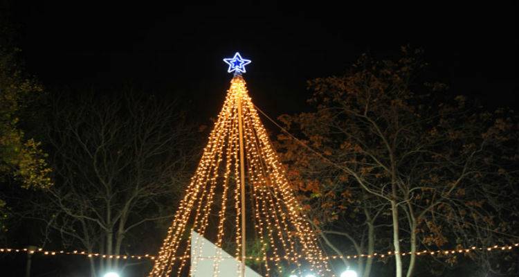 &Tau;&omicron; &Chi;&rho;&iota;&sigma;&tau;&omicron;&upsilon;&gamma;&epsilon;&nu;&nu;&iota;ά&tau;&iota;&kappa;&omicron; &delta;έ&nu;&tau;&rho;&omicron; &tau;&omicron;&upsilon; &alpha;&nu;ά&beta;&epsilon;&iota; &omicron; &Kappa;ά&sigma;&pi;&alpha;&kappa;&alpha;&sigmaf;