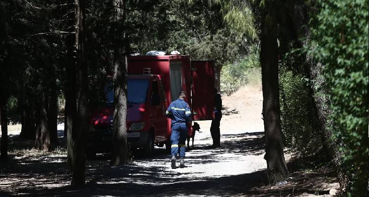 &Alpha;&pi;&alpha;&gamma;&chi;&omicron;&nu;&iota;&sigma;&mu;έ&nu;&omicron;&sigmaf; &epsilon;&nu;&tau;&omicron;&pi;ί&sigma;&tau;&eta;&kappa;&epsilon; &omicron; &phi;&omicron;&iota;&tau;&eta;&tau;ή&sigmaf; &tau;&omicron;&upsilon; &Alpha;&Pi;&Theta; &pi;&omicron;&upsilon; &chi;ά&theta;&eta;&kappa;&epsilon; &sigma;&tau;&omicron;&nu; &Gamma;&rho;ά&mu;&mu;&omicron;