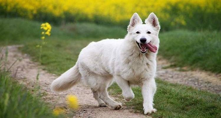 &Tau;&omicron;&nu; &kappa;ώ&delta;&omega;&nu;&alpha; &tau;&omicron;&upsilon; &kappa;&iota;&nu;&delta;ύ&nu;&omicron;&upsilon; &kappa;&rho;&omicron;ύ&epsilon;&iota; &tau;&omicron; &Phi;&iota;&lambda;&omicron;&zeta;&omega;&iota;&kappa;ό &Sigma;&omega;&mu;&alpha;&tau;&epsilon;ί&omicron; &Lambda;ή&mu;&nu;&omicron;&upsilon;