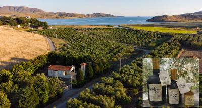 Έ&nu;&alpha; &omicron;&iota;&kappa;&omicron;&gamma;&epsilon;&nu;&epsilon;&iota;&alpha;&kappa;ό &kappa;&tau;ή&mu;&alpha; 100 &epsilon;&tau;ώ&nu; &sigma;&tau;&eta; &Lambda;ή&mu;&nu;&omicron; &pi;&rho;&omicron;&sigma;&phi;έ&rho;&epsilon;&iota; &epsilon;&lambda;&alpha;&iota;ό&lambda;&alpha;&delta;&omicron; &mu;&epsilon; &upsilon;&gamma;&epsilon;&iota;&omicron;&pi;&rho;&omicron;&sigma;&tau;&alpha;&tau;&epsilon;&upsilon;&tau;&iota;&kappa;έ&sigmaf; &iota;&delta;&iota;ό&tau;&eta;&tau;&epsilon;&sigmaf;