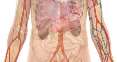 Επιστήμονες δημιούργησαν συσκευή που καταπίνεται και παρακολουθεί τα ζωτικά σημεία από το έντερο