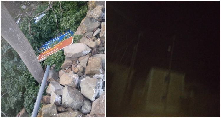 &Delta;ά&phi;&nu;&eta;: &Pi;&epsilon;&sigma;&mu;έ&nu;&epsilon;&sigmaf; &pi;&iota;&nu;&alpha;&kappa;ί&delta;&epsilon;&sigmaf; &kappa;&alpha;&iota; &kappa;&alpha;&mu;έ&nu;&epsilon;&sigmaf; &lambda;ά&mu;&pi;&epsilon;&sigmaf; &sigma;&tau;&omicron; &chi;&omega;&rho;&iota;ό