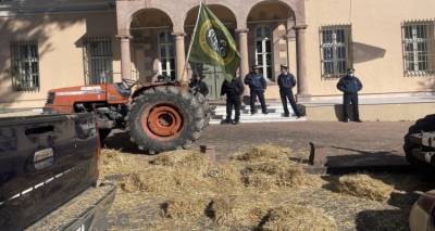 &Pi;έ&tau;&alpha;&xi;&alpha;&nu; ά&chi;&upsilon;&rho;&alpha; &omicron;&iota; &alpha;&gamma;&rho;ό&tau;&epsilon;&sigmaf; έ&xi;&omega; &alpha;&pi;ό &tau;&eta; &Gamma;&epsilon;&nu;&iota;&kappa;ή &Gamma;&rho;&alpha;&mu;&mu;&alpha;&tau;&epsilon;ί&alpha; &Alpha;&iota;&gamma;&alpha;ί&omicron;&upsilon; &kappa;&alpha;&iota; &Nu;&eta;&sigma;&iota;&omega;&tau;&iota;&kappa;ή&sigmaf; &Pi;&omicron;&lambda;&iota;&tau;&iota;&kappa;ή&sigmaf;