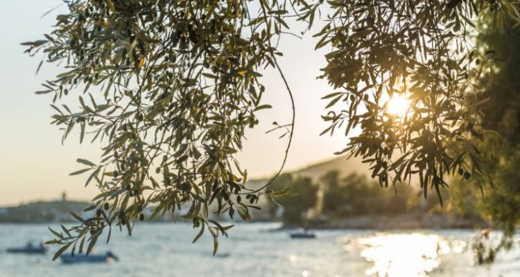 &Omicron; &Sigma;&epsilon;&pi;&tau;έ&mu;&beta;&rho;&iota;&omicron;&sigmaf; &tau;&omicron;&upsilon; 2019 ή&tau;&alpha;&nu; &omicron; &pi;&iota;&omicron; &zeta;&epsilon;&sigma;&tau;ό&sigmaf; &tau;&alpha; &tau;&epsilon;&lambda;&epsilon;&upsilon;&tau;&alpha;ί&alpha; 140 &chi;&rho;ό&nu;&iota;&alpha;