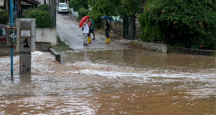 &Pi;&rho;&omicron;&beta;&lambda;ή&mu;&alpha;&tau;&alpha; &alpha;&pi;ό &tau;&eta;&nu; &kappa;&alpha;&kappa;&omicron;&kappa;&alpha;&iota;&rho;ί&alpha; -&Kappa;&alpha;&tau;&alpha;&iota;&gamma;ί&delta;&epsilon;&sigmaf; &sigma;&epsilon; ό&lambda;&eta; &tau;&eta; &chi;ώ&rho;&alpha; &kappa;&alpha;&iota; &sigma;ή&mu;&epsilon;&rho;&alpha;, &mu;ή&nu;&upsilon;&mu;&alpha; 112 &sigma;&epsilon; 7 &pi;&epsilon;&rho;&iota;&omicron;&chi;έ&sigmaf;