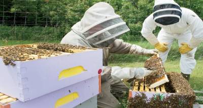 &Pi;&rho;&omicron;&gamma;&rho;ά&mu;&mu;&alpha;&tau;&alpha; &Kappa;&alpha;&tau;ά&rho;&tau;&iota;&sigma;&eta;&sigmaf; &mu;&epsilon;&lambda;&iota;&sigma;&sigma;&omicron;&kappa;ό&mu;&omega;&nu; &kappa;&alpha;&iota; &epsilon;&lambda;&alpha;&iota;&omicron;&pi;&alpha;&rho;&alpha;&gamma;&omega;&gamma;ώ&nu; &sigma;&tau;&eta;&nu; &Pi;&epsilon;&rho;&iota;&phi;έ&rho;&epsilon;&iota;&alpha;  &Beta;&omicron;&rho;&epsilon;ί&omicron;&upsilon; &Alpha;&iota;&gamma;&alpha;ί&omicron;&upsilon;