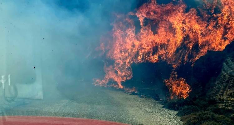 &Mu;ά&chi;&eta; &mu;&epsilon; &tau;&iota;&sigmaf; &phi;&lambda;ό&gamma;&epsilon;&sigmaf; &sigma;&epsilon; Έ&beta;&rho;&omicron; &kappa;&alpha;&iota; Ά&nu;&delta;&rho;&omicron;, &beta;&epsilon;&lambda;&tau;&iota;&omega;&mu;έ&nu;&eta; &epsilon;&iota;&kappa;ό&nu;&alpha; &sigma;&epsilon; &Beta;&omicron;&iota;&omega;&tau;ί&alpha; &kappa;&alpha;&iota; &Phi;&theta;&iota;ώ&tau;&iota;&delta;&alpha; | H &tau;&epsilon;&lambda;&epsilon;&upsilon;&tau;&alpha;ί&alpha; &epsilon;&nu;&eta;&mu;έ&rho;&omega;&sigma;&eta;