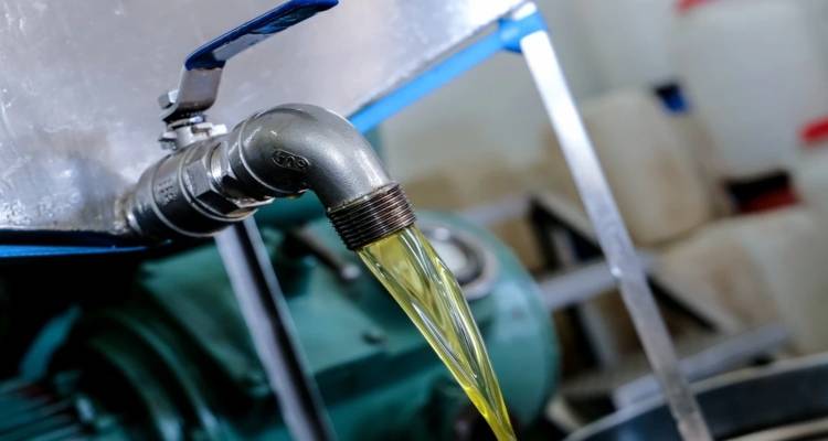 &Epsilon;&lambda;&alpha;&iota;ό&lambda;&alpha;&delta;&omicron;: &Epsilon;&xi;&alpha;&kappa;&omicron;&lambda;&omicron;&upsilon;&theta;&omicron;ύ&nu; &nu;&alpha; &alpha;&nu;&epsilon;&beta;&alpha;ί&nu;&omicron;&upsilon;&nu; &omicron;&iota; &tau;&iota;&mu;έ&sigmaf; - &Mu;έ&chi;&rho;&iota; &kappa;&alpha;&iota; 200 &epsilon;&upsilon;&rho;ώ έ&nu;&alpha;&sigmaf; &tau;&epsilon;&nu;&epsilon;&kappa;έ&sigmaf;