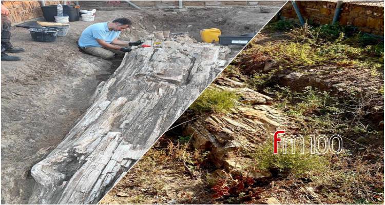 &Beta;ά&rho;&omicron;&sigmaf;: &Nu;έ&epsilon;&sigmaf; &epsilon;&rho;&gamma;&alpha;&sigma;ί&epsilon;&sigmaf; &sigma;&upsilon;&nu;&tau;ή&rho;&eta;&sigma;&eta;&sigmaf; &sigma;&tau;&omicron;&nu; &alpha;&pi;&omicron;&lambda;&iota;&theta;&omega;&mu;έ&nu;&omicron; &kappa;&omicron;&rho;&mu;ό (photos)