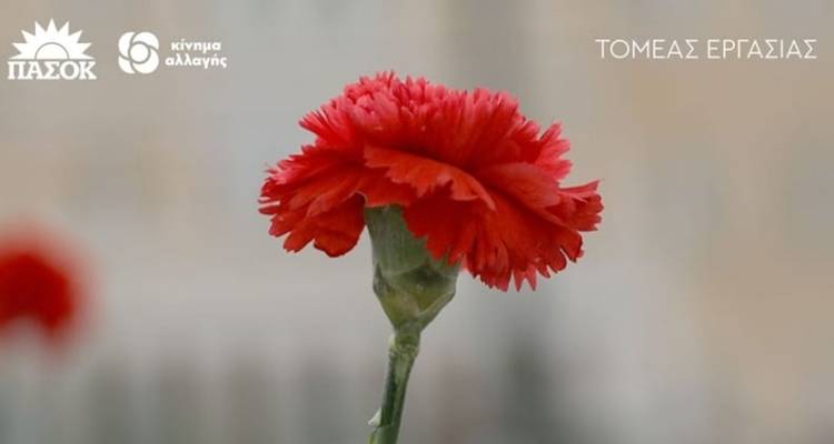 &Delta;ή&lambda;&omega;&sigma;&eta; &tau;&eta;&sigmaf; &Mu;&alpha;&gamma;&delta;&alpha;&lambda;&eta;&nu;ή&sigmaf; &Tau;&omicron;ύ&phi;&omicron;&upsilon; &gamma;&iota;&alpha; &tau;&eta;&nu; &Epsilon;&rho;&gamma;&alpha;&tau;&iota;&kappa;ή &Pi;&rho;&omega;&tau;&omicron;&mu;&alpha;&gamma;&iota;ά