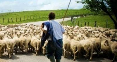 &Pi;&rho;&omicron;&sigmaf; &alpha;&pi;&omicron;&zeta;&eta;&mu;ί&omega;&sigma;&eta; &omicron;&iota; &kappa;&tau;&eta;&nu;&omicron;&tau;&rho;ό&phi;&omicron;&iota; &Lambda;ή&mu;&nu;&omicron;&upsilon; &kappa;&alpha;&iota; &Lambda;έ&sigma;&beta;&omicron;&upsilon; &gamma;&iota;&alpha; &tau;&iota;&sigmaf; &alpha;&pi;ώ&lambda;&epsilon;&iota;&epsilon;&sigmaf; &alpha;&pi;ό &tau;&omicron;&nu; &kappa;&alpha;&tau;&alpha;&rho;&rho;&omicron;ϊ&kappa;ό &pi;&upsilon;&rho;&epsilon;&tau;ό (video)