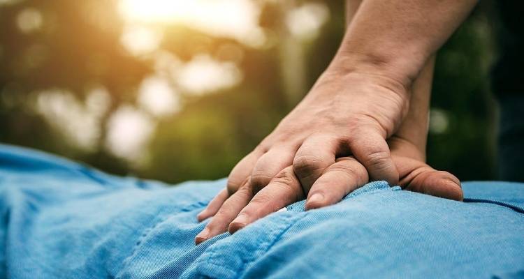 &Pi;&rho;ώ&tau;&epsilon;&sigmaf; &beta;&omicron;ή&theta;&epsilon;&iota;&epsilon;&sigmaf; &sigma;&tau;&eta;&nu; &pi;&rho;ά&xi;&eta;: &Delta;&rho;ά&sigma;&eta; &Kappa;&Alpha;&Rho;&Pi;&Alpha; &sigma;&tau;&eta; &Sigma;&Alpha;&Epsilon;&Kappa; &Lambda;ή&mu;&nu;&omicron;&upsilon; &mu;&epsilon; &alpha;&nu;&omicron;&iota;&chi;&tau;ή &sigma;&upsilon;&mu;&mu;&epsilon;&tau;&omicron;&chi;ή