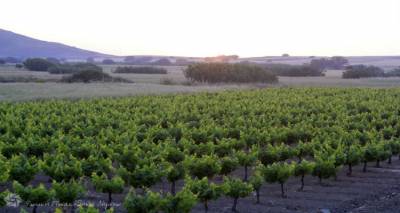 &Lambda;ή&mu;&nu;&omicron;&sigmaf;: &Alpha;&nu;&alpha;&kappa;&omicron;&iota;&nu;ώ&theta;&eta;&kappa;&alpha;&nu; &omicron;&iota; &omicron;&iota;&kappa;&omicron;&nu;&omicron;&mu;&iota;&kappa;έ&sigmaf; &epsilon;&nu;&iota;&sigma;&chi;ύ&sigma;&epsilon;&iota;&sigmaf; &gamma;&iota;&alpha; &tau;&omicron; &pi;&rho;ό&gamma;&rho;&alpha;&mu;&mu;&alpha; &alpha;&nu;&alpha;&delta;&iota;ά&rho;&theta;&rho;&omega;&sigma;&eta;&sigmaf; &kappa;&alpha;&iota; &mu;&epsilon;&tau;&alpha;&tau;&rho;&omicron;&pi;ή&sigmaf; &omicron;&iota;&nu;&omicron;&pi;&omicron;&iota;ή&sigma;&iota;&mu;&omega;&nu; &pi;&omicron;&iota;&kappa;&iota;&lambda;&iota;ώ&nu; &alpha;&mu;&pi;έ&lambda;&omicron;&upsilon;