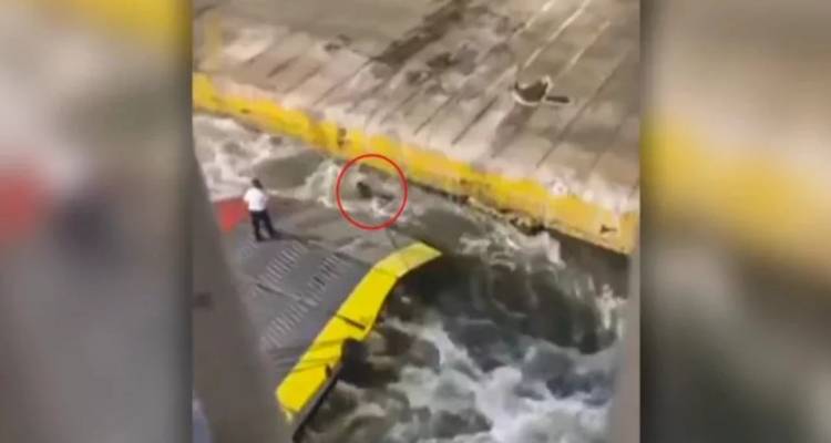 &Lambda;ύ&gamma;&iota;&sigma;&epsilon; &omicron; &alpha;&delta;&epsilon;&rho;&phi;ό&sigmaf; &tau;&omicron;&upsilon; &Alpha;&nu;&tau;ώ&nu;&eta; &Kappa;&alpha;&rho;&gamma;&iota;ώ&tau;&eta; -&Omicron;&iota;&kappa;&omicron;&gamma;έ&nu;&epsilon;&iota;&alpha; &kappa;&alpha;&iota; &phi;ί&lambda;&omicron;&iota; &mu;ί&lambda;&eta;&sigma;&alpha;&nu; &gamma;&iota;&alpha; &tau;&omicron;&nu; 36&chi;&rho;&omicron;&nu;&omicron; &pi;&omicron;&upsilon; &delta;&omicron;&lambda;&omicron;&phi;ό&nu;&eta;&sigma;&alpha;&nu; &sigma;&tau;&omicron; Blue Horizon