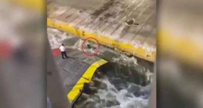 &Lambda;ύ&gamma;&iota;&sigma;&epsilon; &omicron; &alpha;&delta;&epsilon;&rho;&phi;ό&sigmaf; &tau;&omicron;&upsilon; &Alpha;&nu;&tau;ώ&nu;&eta; &Kappa;&alpha;&rho;&gamma;&iota;ώ&tau;&eta; -&Omicron;&iota;&kappa;&omicron;&gamma;έ&nu;&epsilon;&iota;&alpha; &kappa;&alpha;&iota; &phi;ί&lambda;&omicron;&iota; &mu;ί&lambda;&eta;&sigma;&alpha;&nu; &gamma;&iota;&alpha; &tau;&omicron;&nu; 36&chi;&rho;&omicron;&nu;&omicron; &pi;&omicron;&upsilon; &delta;&omicron;&lambda;&omicron;&phi;ό&nu;&eta;&sigma;&alpha;&nu; &sigma;&tau;&omicron; Blue Horizon