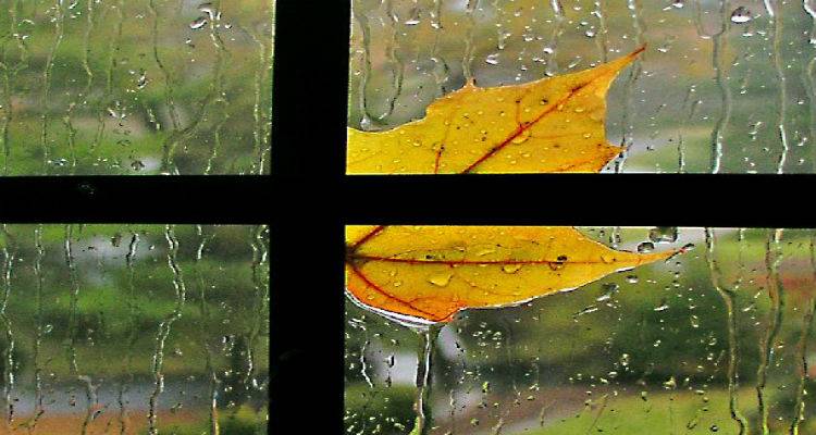 Πρωτοβρόχια: 7 πράγματα που χρειάζεσαι για να τα καλοδεχτείς!