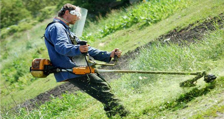 Κοπή χόρτων από τον Δήμο Λήμνου σε δημοτικά πάρκινγκ στη Μύρινα