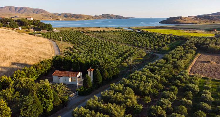 Εξερευνώντας τη γαλήνια Λήμνο με την άγρια ομορφιά