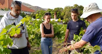 &Epsilon;&kappa;&pi;&alpha;&iota;&delta;&epsilon;&upsilon;&tau;&iota;&kappa;ή &epsilon;&pi;ί&sigma;&kappa;&epsilon;&psi;&eta; &tau;&omega;&nu; &Alpha;&mu;&pi;&epsilon;&lambda;&omicron;&upsilon;&rho;&gamma;ώ&nu; &tau;&eta;&sigmaf; &Sigma;.&Alpha;.&Epsilon;.&Kappa; &Lambda;ή&mu;&nu;&omicron;&upsilon; &sigma;&epsilon; &alpha;&mu;&pi;&epsilon;&lambda;ώ&nu;&alpha;: &Alpha;&pi;ό &tau;&eta; &theta;&epsilon;&omega;&rho;ί&alpha; &sigma;&tau;&eta;&nu; &pi;&rho;ά&xi;&eta;