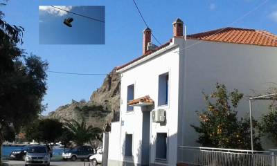 &Mu;ύ&rho;&iota;&nu;&alpha;: &Sigma;&upsilon;&nu;&epsilon;&chi;ί&zeta;&omicron;&upsilon;&nu; &nu;&alpha; &pi;&rho;&omicron;&kappa;&alpha;&lambda;&omicron;ύ&nu; &alpha;&pi;&omicron;&rho;ί&alpha; &tau;&alpha; &kappa;&rho;&epsilon;&mu;&alpha;&sigma;&mu;έ&nu;&alpha; &pi;&alpha;&pi;&omicron;ύ&tau;&sigma;&iota;&alpha; &sigma;&tau;&alpha; &kappa;&alpha;&lambda;ώ&delta;&iota;&alpha; &tau;&eta;&sigmaf; &Delta;&Epsilon;&Eta; (photos)