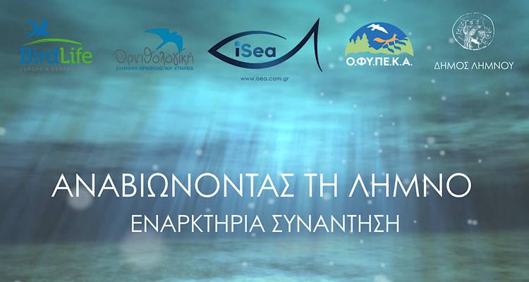 Λήμνος: Επίσημη έναρξη για την αποκατάσταση του μεγαλύτερου λιβαδιού Ποσειδωνίας στην Αν. Μεσόγειο
