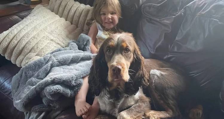 Δίχρονο κορίτσι βρέθηκε στο δάσος να κοιμάται με μαξιλάρι τον έναν σκύλο της και φύλακα τον άλλον