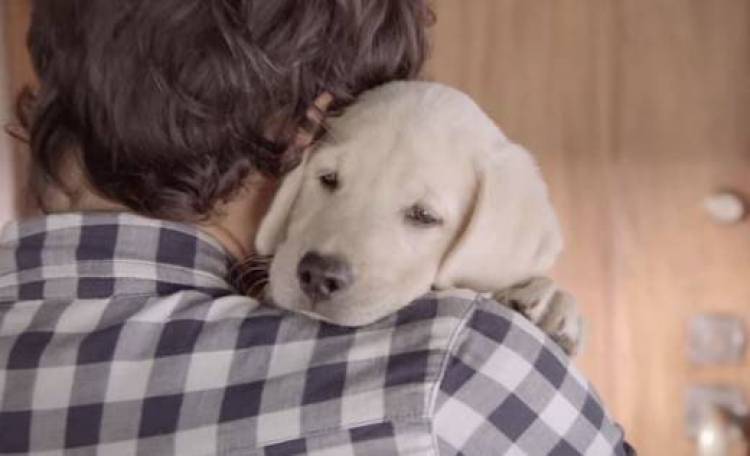 Αυτός ο σκύλος μπορεί να σε κάνει να μην ξαναοδηγήσεις μεθυσμένος (video)