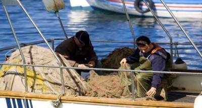 &Alpha;&lambda;&iota;&epsilon;ί&sigmaf; &Lambda;ή&mu;&nu;&omicron;&upsilon;: &Pi;&rho;ό&sigma;&kappa;&lambda;&eta;&sigma;&eta; &gamma;&iota;&alpha; &upsilon;&pi;&omicron;&beta;&omicron;&lambda;ή &alpha;&iota;&tau;ή&sigma;&epsilon;&omega;&nu; &gamma;&iota;&alpha; &omicron;&iota;&kappa;&omicron;&nu;&omicron;&mu;&iota;&kappa;ή &epsilon;&nu;ί&sigma;&chi;&upsilon;&sigma;&eta; &gamma;&iota;&alpha; &kappa;&alpha;&tau;ά&rho;&gamma;&eta;&sigma;&eta; &tau;&omicron;&upsilon; &gamma;&rho;ί&pi;&omicron;&upsilon; &sigma;&epsilon; &beta;&iota;&nu;&tau;&zeta;ό&tau;&rho;&alpha;&tau;&epsilon;&sigmaf;