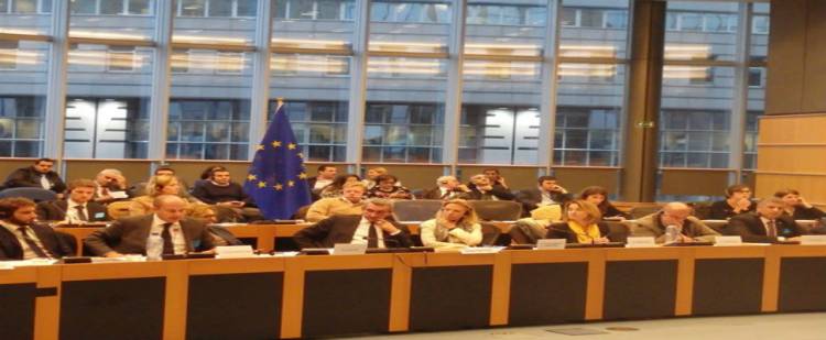 E&kappa;&delta;ή&lambda;&omega;&sigma;&eta; &tau;&eta;&sigmaf; &Pi;&epsilon;&rho;&iota;&phi;έ&rho;&epsilon;&iota;&alpha;&sigmaf; &Beta;&omicron;&rho;&epsilon;ί&omicron;&upsilon; &Alpha;&iota;&gamma;&alpha;ί&omicron;&upsilon; &sigma;&tau;&omicron; &Epsilon;&upsilon;&rho;&omega;&pi;&alpha;ϊ&kappa;ό &Kappa;&omicron;&iota;&nu;&omicron;&beta;&omicron;ύ&lambda;&iota;&omicron; &gamma;&iota;&alpha; &tau;&omicron; &mu;&epsilon;&tau;&alpha;&nu;&alpha;&sigma;&tau;&epsilon;&upsilon;&tau;&iota;&kappa;ό.