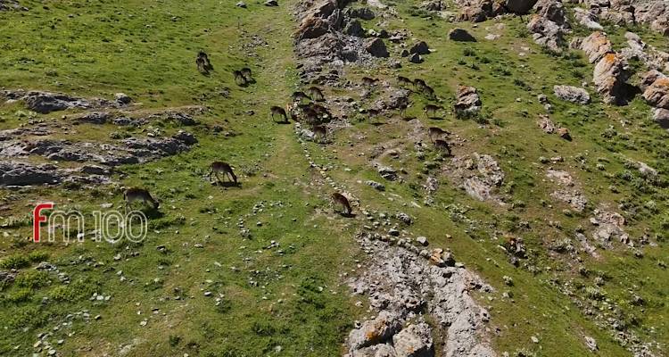 Λήμνος: Τα πλατώνια του Κάστρου της Μύρινας από ψηλά! (Video)