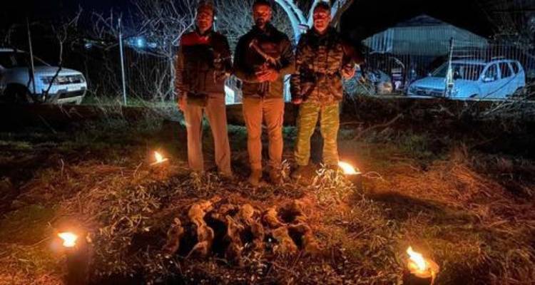 &Kappa;&upsilon;&nu;ή&gamma;&iota; &alpha;&gamma;&rho;&iota;&omicron;&kappa;&omicron;ύ&nu;&epsilon;&lambda;&omicron;&upsilon; &mu;&epsilon; &gamma;&epsilon;&rho;ά&kappa;&iota;&alpha; &sigma;&tau;&eta; &Lambda;ή&mu;&nu;&omicron; | &Epsilon;&nu;&tau;&upsilon;&pi;&omega;&sigma;&iota;&alpha;&kappa;ό &beta;ί&nu;&tau;&epsilon;&omicron;
