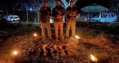 &Kappa;&upsilon;&nu;ή&gamma;&iota; &alpha;&gamma;&rho;&iota;&omicron;&kappa;&omicron;ύ&nu;&epsilon;&lambda;&omicron;&upsilon; &mu;&epsilon; &gamma;&epsilon;&rho;ά&kappa;&iota;&alpha; &sigma;&tau;&eta; &Lambda;ή&mu;&nu;&omicron; | &Epsilon;&nu;&tau;&upsilon;&pi;&omega;&sigma;&iota;&alpha;&kappa;ό &beta;ί&nu;&tau;&epsilon;&omicron;