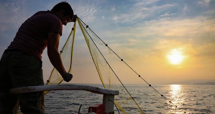 &Kappa;&rho;&alpha;&upsilon;&gamma;ή &alpha;&gamma;&omega;&nu;ί&alpha;&sigmaf; &alpha;&pi;ό &psi;&alpha;&rho;ά&delta;&epsilon;&sigmaf; &tau;&eta;&sigmaf; &Lambda;ή&mu;&nu;&omicron;&upsilon;: K&alpha;&tau;&alpha;&gamma;&gamma;έ&lambda;&lambda;&omicron;&upsilon;&nu; &alpha;&kappa;&rho;&alpha;ί&epsilon;&sigmaf; &pi;&rho;&omicron;&kappa;&lambda;ή&sigma;&epsilon;&iota;&sigmaf; &alpha;&pi;ό &Tau;&omicron;ύ&rho;&kappa;&omicron;&upsilon;&sigmaf; &alpha;&lambda;&iota;&epsilon;ί&sigmaf; | &laquo;&Phi;&omicron;&beta;ό&mu;&alpha;&sigma;&tau;&epsilon; &nu;&alpha; &pi;&lambda;&eta;&sigma;&iota;ά&sigma;&omicron;&upsilon;&mu;&epsilon; &ndash; &Alpha;&nu; &pi;&alpha;&sigmaf; &epsilon;&kappa;&epsilon;ί, &tau;&epsilon;&lambda;&epsilon;ί&omega;&sigma;&epsilon;&sigmaf;&raquo;