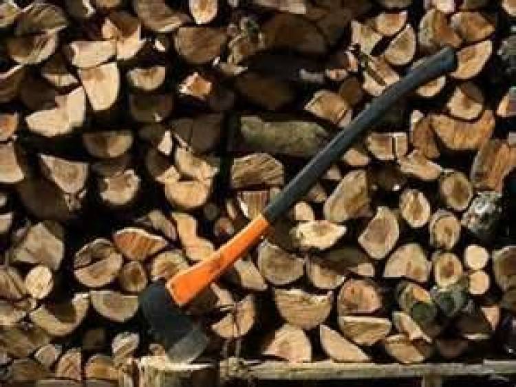 «Τα δικά μας ξύλα ζεσταίνουν τους Έλληνες»