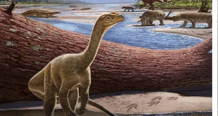 Ανακαλύφθηκε ο αρχαιότερος δεινόσαυρος της Αφρικής