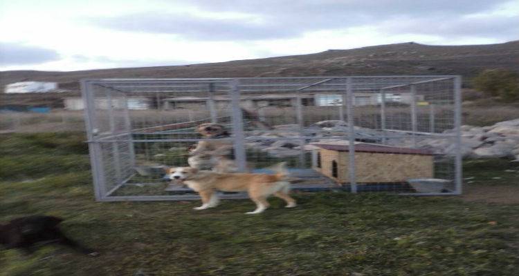 Καταψήφισε η «Ανταρσία στο Αιγαίο» την παραχώρηση χώρου της Περιφέρειας στο Φιλοζωικό Σωματείο Λήμνου
