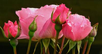 Ημέρα της Μητέρας: Για τις μητέρες όλου του κόσμου