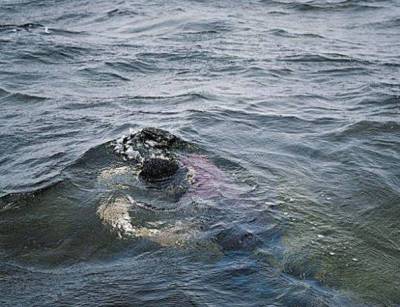 Τσανάκαλε: 24 μετανάστες πνιγμένοι στο δρόμο για τη Λέσβο