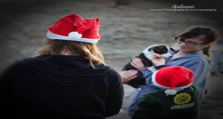 &Tau;&omicron; &pi;&nu;&epsilon;ύ&mu;&alpha; &tau;&omega;&nu; &Chi;&rho;&iota;&sigma;&tau;&omicron;&upsilon;&gamma;έ&nu;&nu;&omega;&nu; &sigma;&tau;&alpha; &alpha;&delta;&epsilon;&sigma;&pi;&omicron;&tau;ά&kappa;&iota;&alpha; &tau;&eta;&sigmaf; &Lambda;ή&mu;&nu;&omicron;&upsilon; (photos)