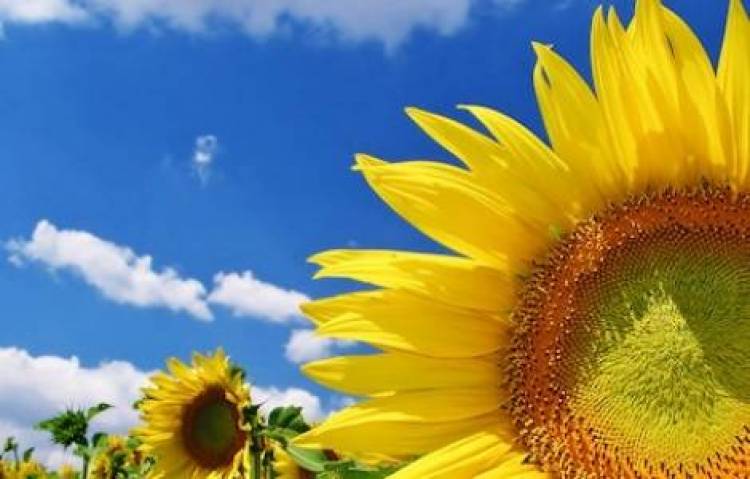 Επιστρέφει ο ήλιος