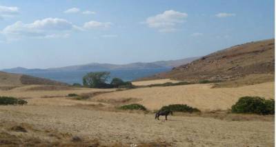 &Alpha;&gamma;&rho;&iota;&omicron;&kappa;&omicron;ύ&nu;&epsilon;&lambda;&alpha; &kappa;&alpha;&iota; &alpha;&gamma;&rho;&omicron;&tau;&iota;&kappa;ή &omicron;&iota;&kappa;&omicron;&nu;&omicron;&mu;ί&alpha; &Lambda;ή&mu;&nu;&omicron;&upsilon; | &Sigma;&upsilon;&nu;&epsilon;&chi;ί&zeta;&epsilon;&iota; &tau;&iota;&sigmaf; &epsilon;&pi;&alpha;&phi;έ&sigmaf; &omicron; &Epsilon;&mu;&pi;&omicron;&rho;&iota;&kappa;ό&sigmaf; &Sigma;ύ&lambda;&lambda;&omicron;&gamma;&omicron;&sigmaf; &pi;&epsilon;&rho;&iota;&phi;έ&rho;&epsilon;&iota;&alpha;&sigmaf; &Mu;&omicron;ύ&delta;&rho;&omicron;&upsilon;