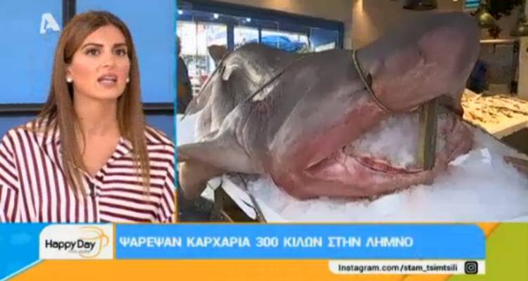 Λήμνος: Ψάρεψαν καρχαρία 300 κιλών! (video)