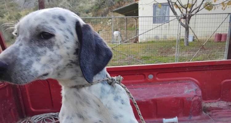 &Beta;&rho;έ&theta;&eta;&kappa;&epsilon; &kappa;&omicron;&upsilon;&tau;ά&beta;&iota; &rho;ά&tau;&sigma;&alpha;&sigmaf; &sigma;έ&tau;&epsilon;&rho; | &Alpha;&nu;&alpha;&zeta;&eta;&tau;&epsilon;ί&tau;&alpha;&iota; &omicron; &iota;&delta;&iota;&omicron;&kappa;&tau;ή&tau;&eta;&sigmaf; &tau;&omicron;&upsilon;