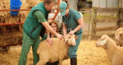 &Epsilon;&pi;&epsilon;ί&gamma;&omicron;&upsilon;&sigma;&alpha; &pi;&rho;ό&sigma;&kappa;&lambda;&eta;&sigma;&eta; &tau;&eta;&sigmaf; &Pi;&epsilon;&rho;&iota;&phi;έ&rho;&epsilon;&iota;&alpha;&sigmaf; &Beta;&omicron;&rho;&epsilon;ί&omicron;&upsilon; &Alpha;&iota;&gamma;&alpha;ί&omicron;&upsilon; &gamma;&iota;&alpha; &tau;&eta;&nu; &pi;&rho;ό&sigma;&lambda;&eta;&psi;&eta; &kappa;&tau;&eta;&nu;&iota;ά&tau;&rho;&omega;&nu; &sigma;&tau;&eta; &Lambda;έ&sigma;&beta;&omicron;