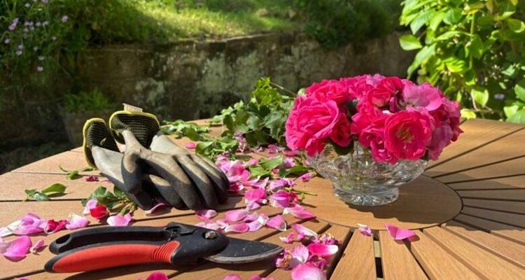 &Kappa;&alpha;&theta;&alpha;&rho;ό&sigmaf; &chi;ώ&rho;&omicron;&sigmaf;, &chi;&omega;&rho;ί&sigmaf; &kappa;ό&pi;&omicron; | &Kappa;&omicron;&pi;ή &chi;ό&rho;&tau;&omega;&nu; &amp; &kappa;&alpha;&theta;&alpha;&rho;&iota;&sigma;&mu;&omicron;ί &mu;&epsilon; &sigma;&upsilon;&nu;έ&pi;&epsilon;&iota;&alpha;